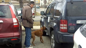 Tom with a dog smelling vehicles