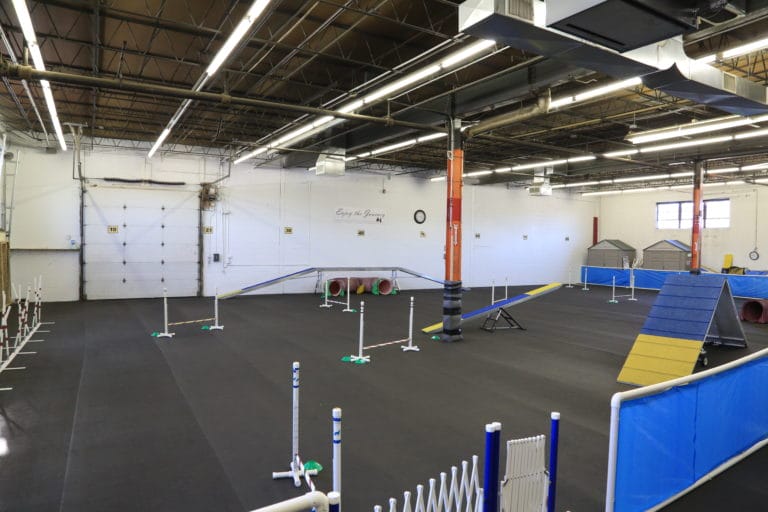 Chicago Dog Training Classes & Obedience Courses For Your K9