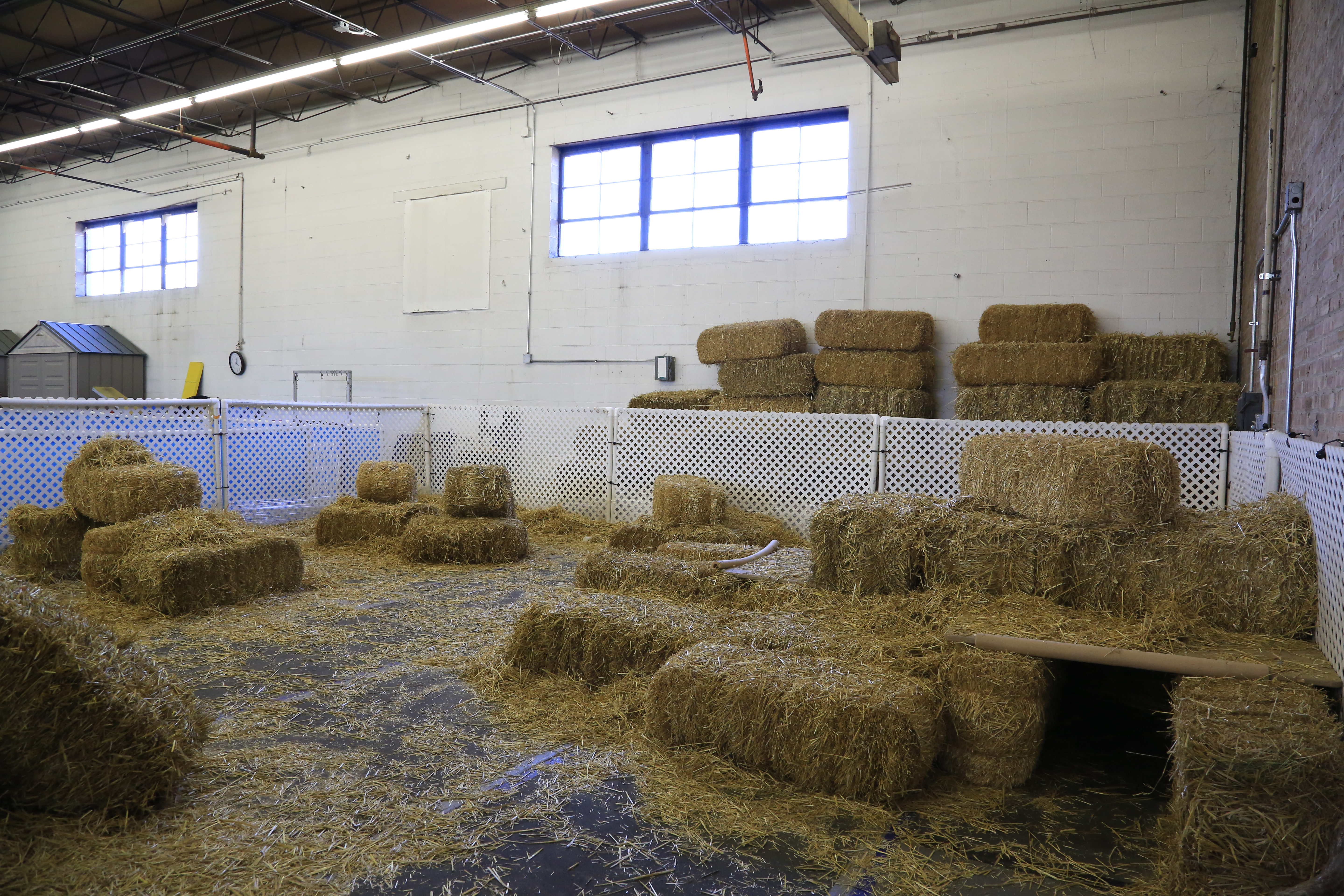 Fenced enclosure containing small square hay bails.
