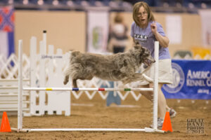 Barb coaching dog as dog jumps over hurdle.