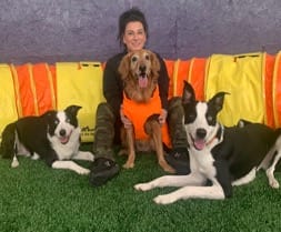 Woman and three dogs sitting and posing