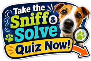 SniffNSolve20